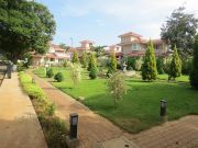 Landscaped garden